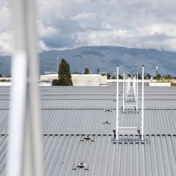 Friulintagli s.p.a. - Rifacimento copertura