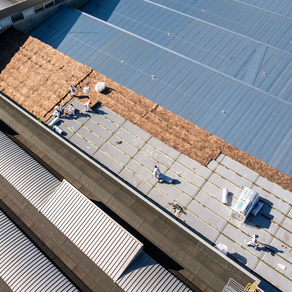 Friulintagli s.p.a. - Rifacimento copertura