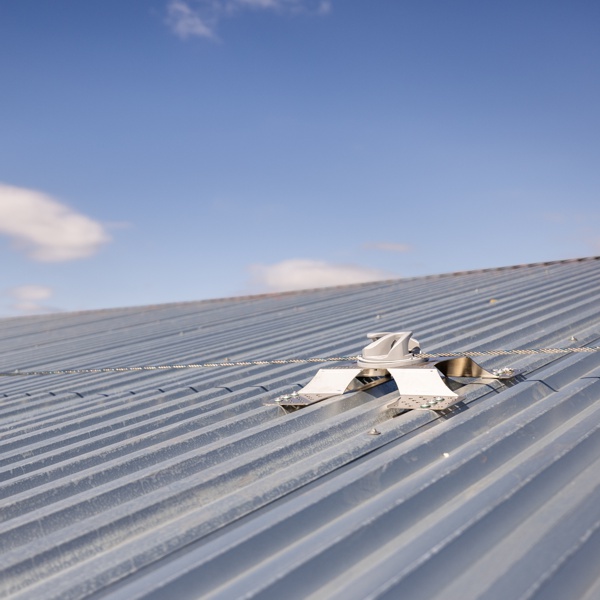 Friulintagli s.p.a. - Rifacimento copertura